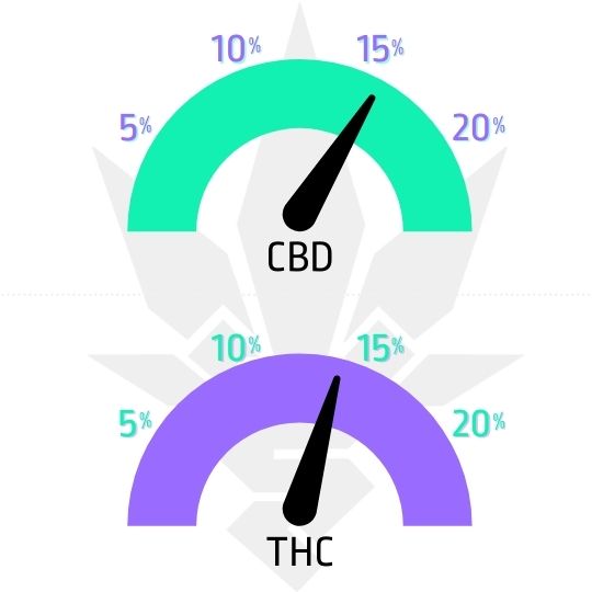 Cream Caramel CBD feminizované semena - obsah CBD a THC